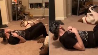 Собственик забавно имитира кучето си и стана хит в мрежата ВИДЕО
