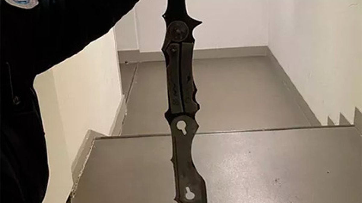 Кървав ужас във Франция: Пиян и дрогиран грабна сабя и стана страшно 