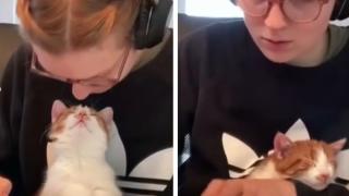 Трогателните отношения между девойка и нейния котарак бяха запечатани на ВИДЕО