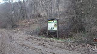Поредна варварска свинщина в Странджа! СНИМКА