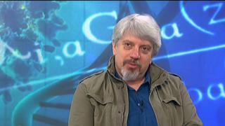 Проф. Витанов: Ако направим това, до 3 седмици в България ще стане страшно!