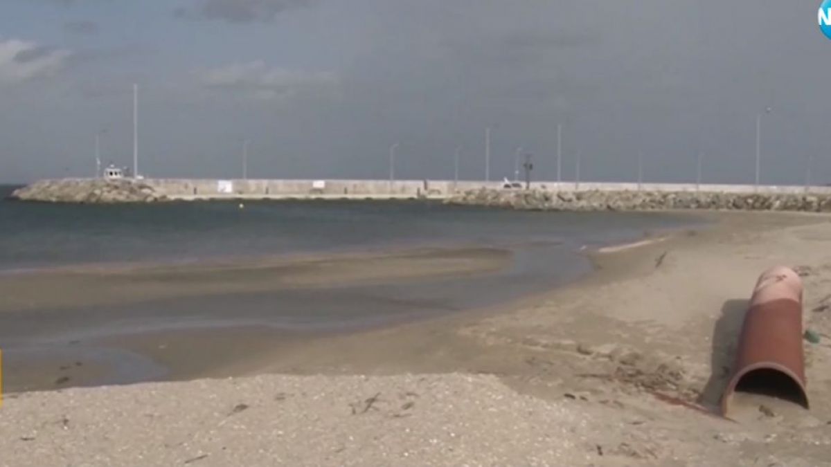 Свинщина на плажа в Крайморие ВИДЕО