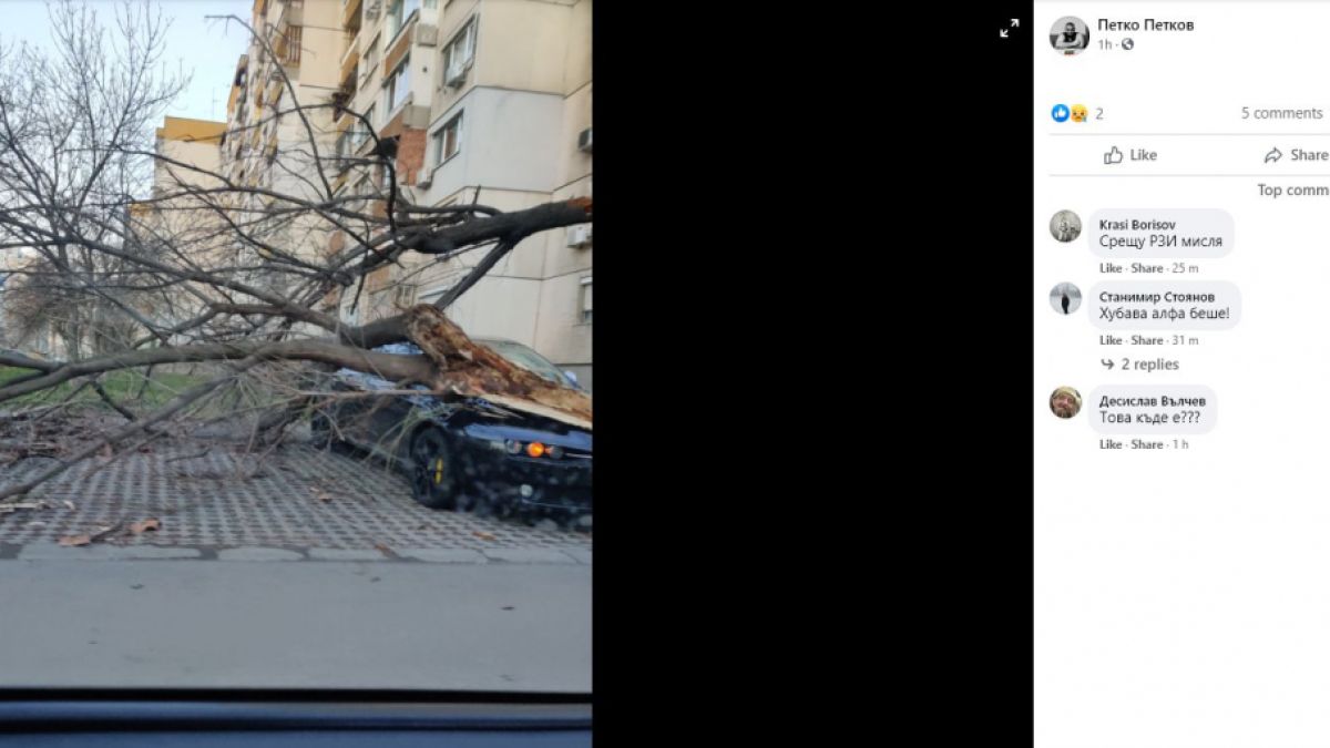 Софиянец видя колата си днес и му се дорева СНИМКА