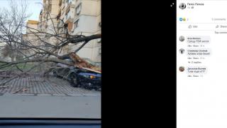 Софиянец видя колата си днес и му се дорева СНИМКА