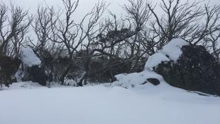 Трагедии: Първи две жертви на екстремния студ у нас