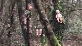 Зловеща гора в графство Стафордшир смразява кръвта на всеки, който види това СНИМКИ