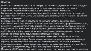 Иванчева проговори защо се е разхождала из София докато е под домашен арест