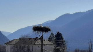 Щъркел донесе пролетта в България, ето къде