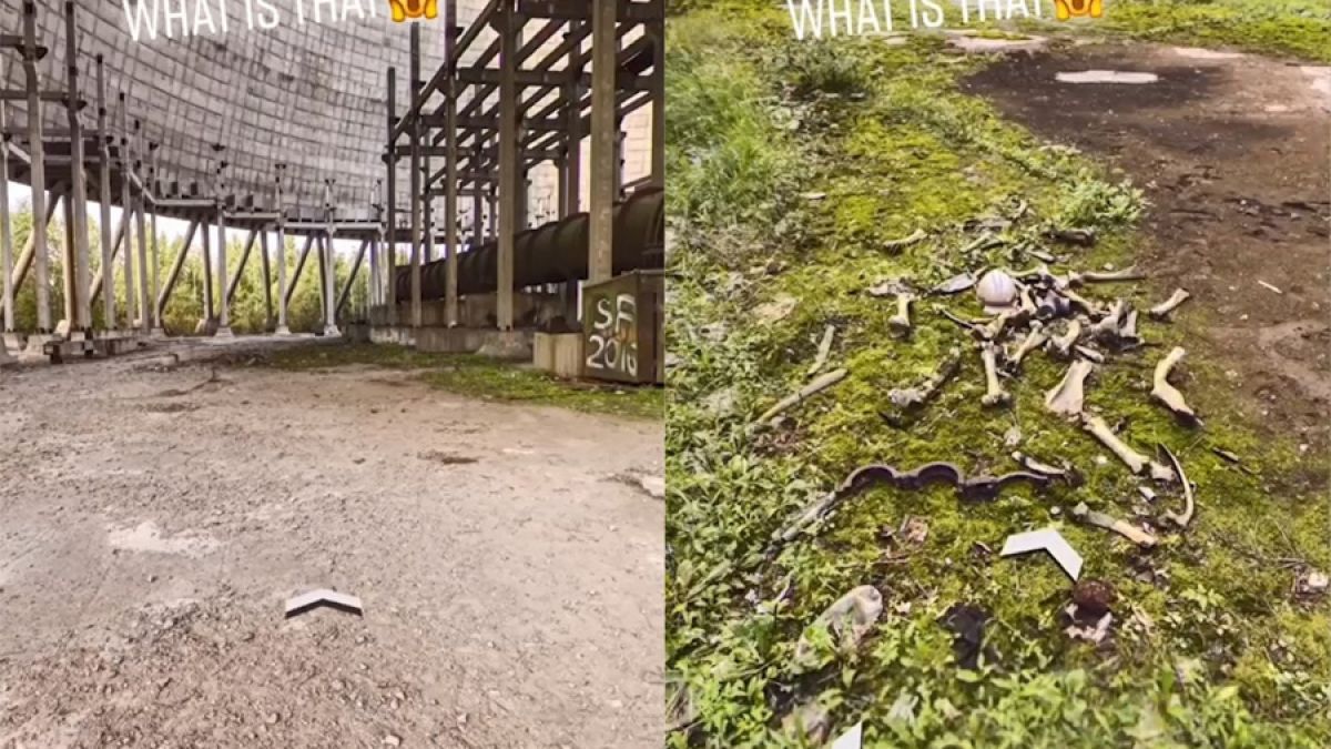 Зловещо: Мъж откри купчина човешки кости в Чернобил чрез Google Maps  ВИДЕО