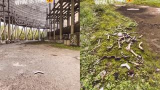 Зловещо: Мъж откри купчина човешки кости в Чернобил чрез Google Maps  ВИДЕО