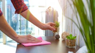 10 знаци, издаващи мърлявата домакиня