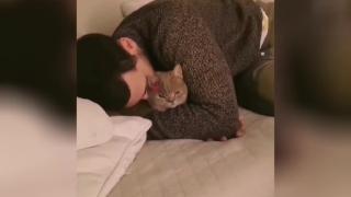 Недоволна от прегръдките на собственика котка разсмя мрежата ВИДЕО