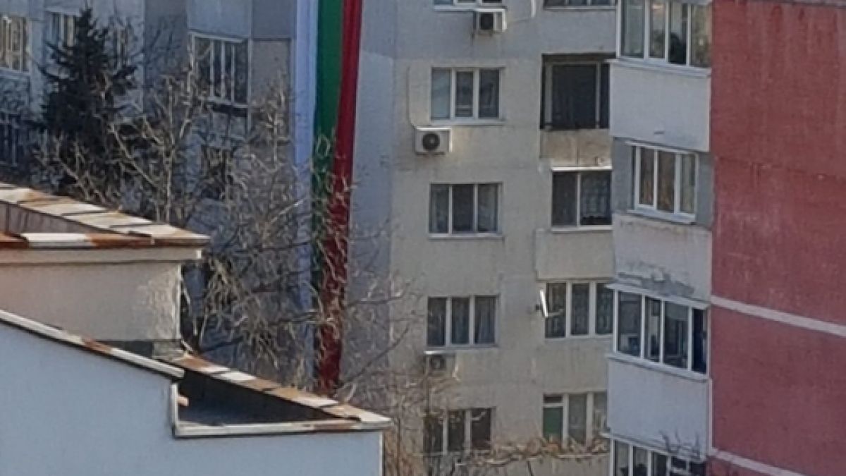 Обитатели на "Люлин" направиха нещо уникално навръх 3-ти март