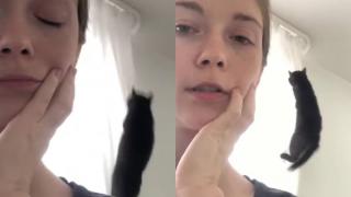 Момиче показа прелестите на живота с котарак и разсмя до сълзи интернет ВИДЕО