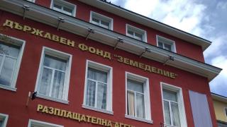 Пари за субсидии: Видео учи фермерите как да получат парите