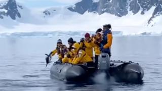 Пингвин скочи в лодка на туристи, за да... ВИДЕО 