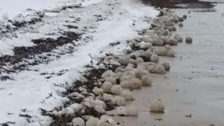 Огромен феномен на плаж в Латвия изуми всички ВИДЕО