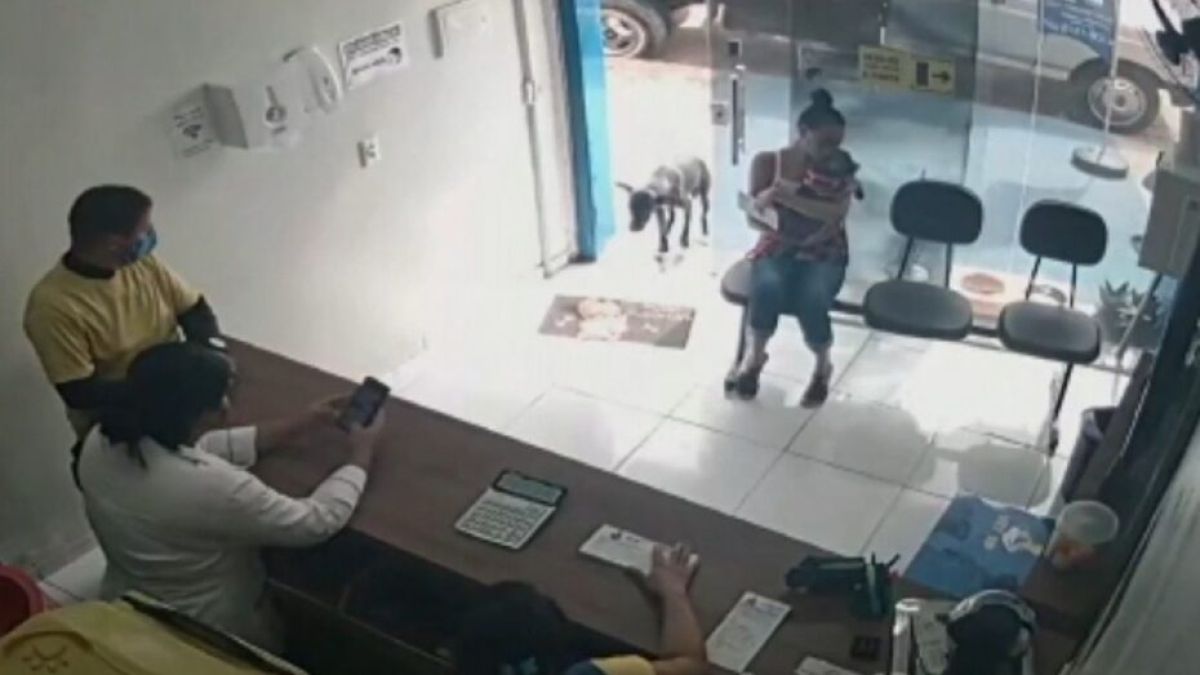 Трогателно ВИДЕО: Бездомно куче дойде в клиника и протегна ранената си лапа