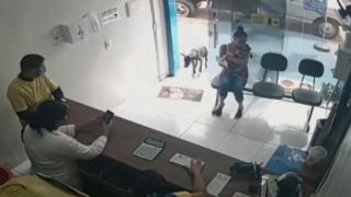 Трогателно ВИДЕО: Бездомно куче дойде в клиника и протегна ранената си лапа