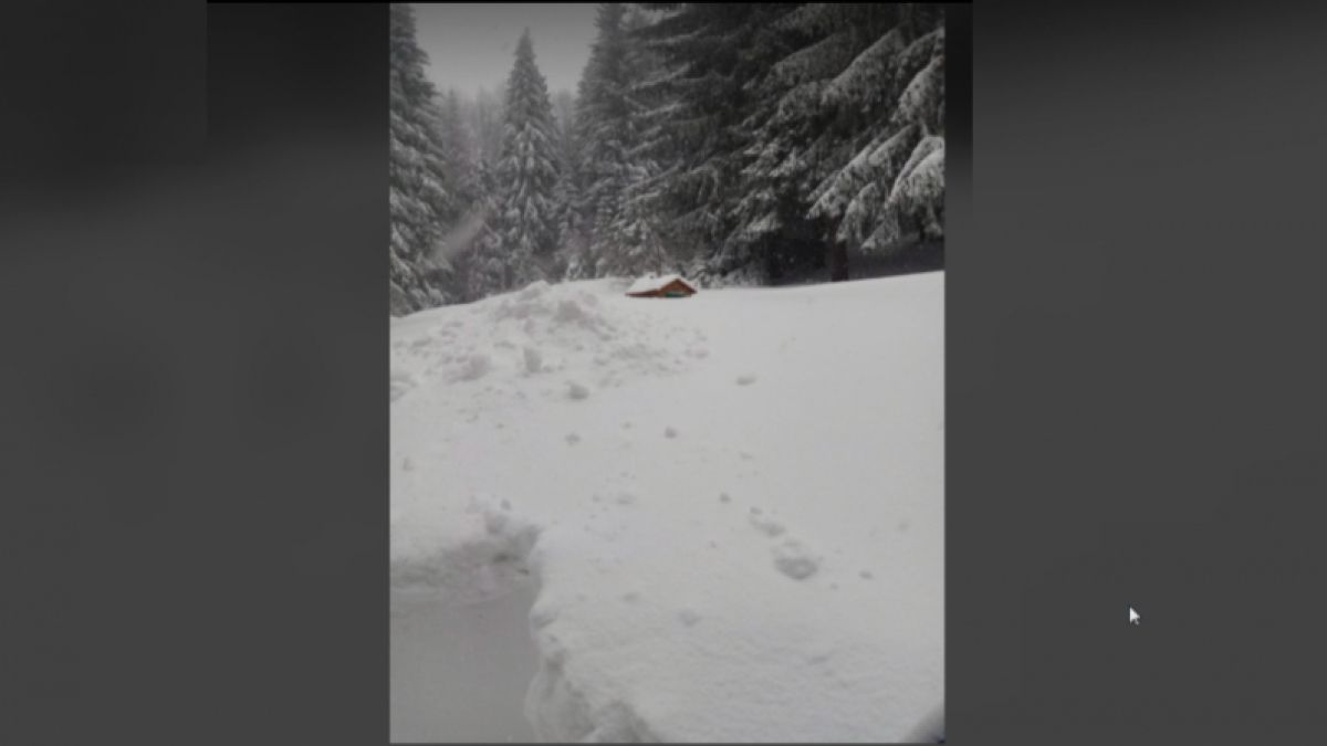 Драма с хижари на Витоша, ето какво се случва
