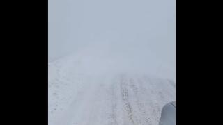 ВИДЕО показа снегокалипсиса и в прохода Троян-Кърнаре 