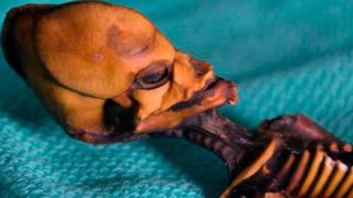 Биолози разбулиха страшната тайна на мистериозната извънземна мумия СНИМКИ