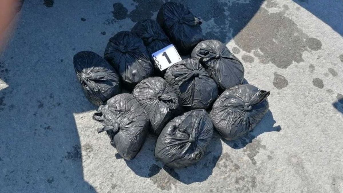 Полицаи спряха миризлив Мерцедес и онемяха, причината е смайваща СНИМКИ