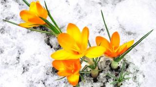 Синоптик вещае голям обрат с времето, ето какво ще се случи