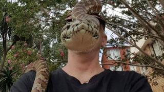 Учени: Хората скоро ще плюят отрова като змии, причината е...