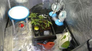 Нова спецакция на полицията и прокуратурата срещу наркомафията, удариха... СНИМКА