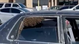 Мъж остави колата си на паркинг за 10 минути и когато се върна изпадна в див ужас ВИДЕО