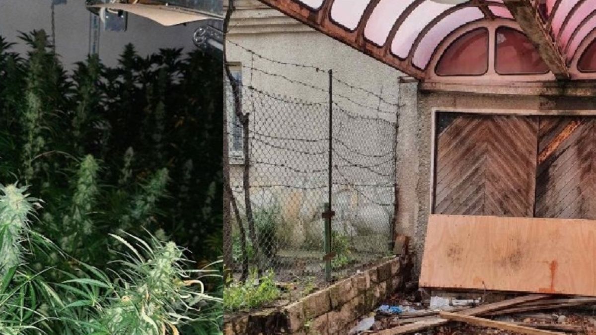 Акция във Варна: Ченгета нахлуха в гараж и се хванаха за главите 