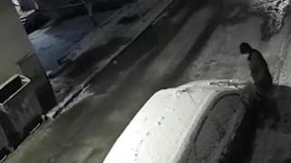 Версия: Запалили колата на кандидат-депутат от ВМРО заради имот ВИДЕО