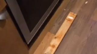 Момиче откри тайник под кухненската си печка, а вътре... ВИДЕО 
