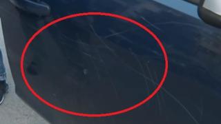 В столичен квартал пропищяха от нагли набези ВИДЕО