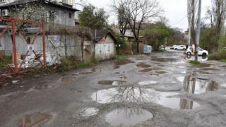 Вярвате или не тази улица в София е "Зелена зона" СНИМКИ