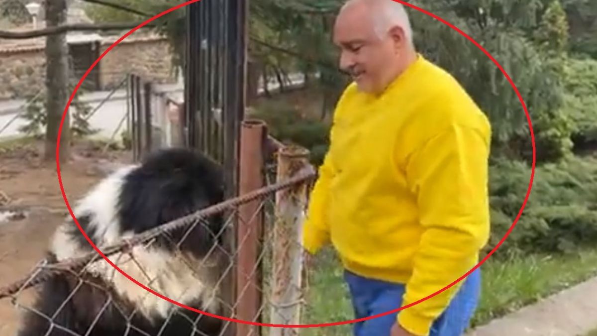Мрежата: Борисов намеква за възкресението си в политиката! Това ВИДЕО го доказва