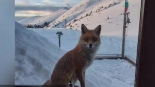 Ники Василковски показа любопитен случай в сутрешния блок на Нова тв СНИМКА