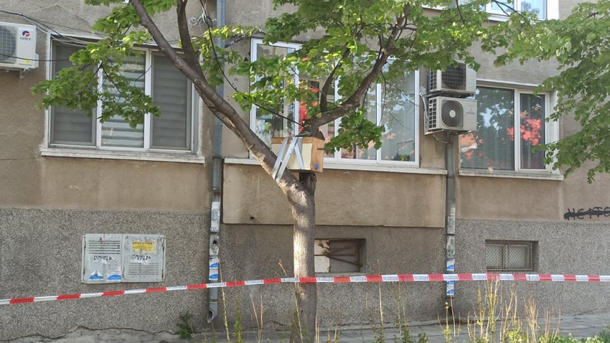 Извънредна ситуация в бургаски квартал, полиция отцепи улица заради... СНИМКИ 