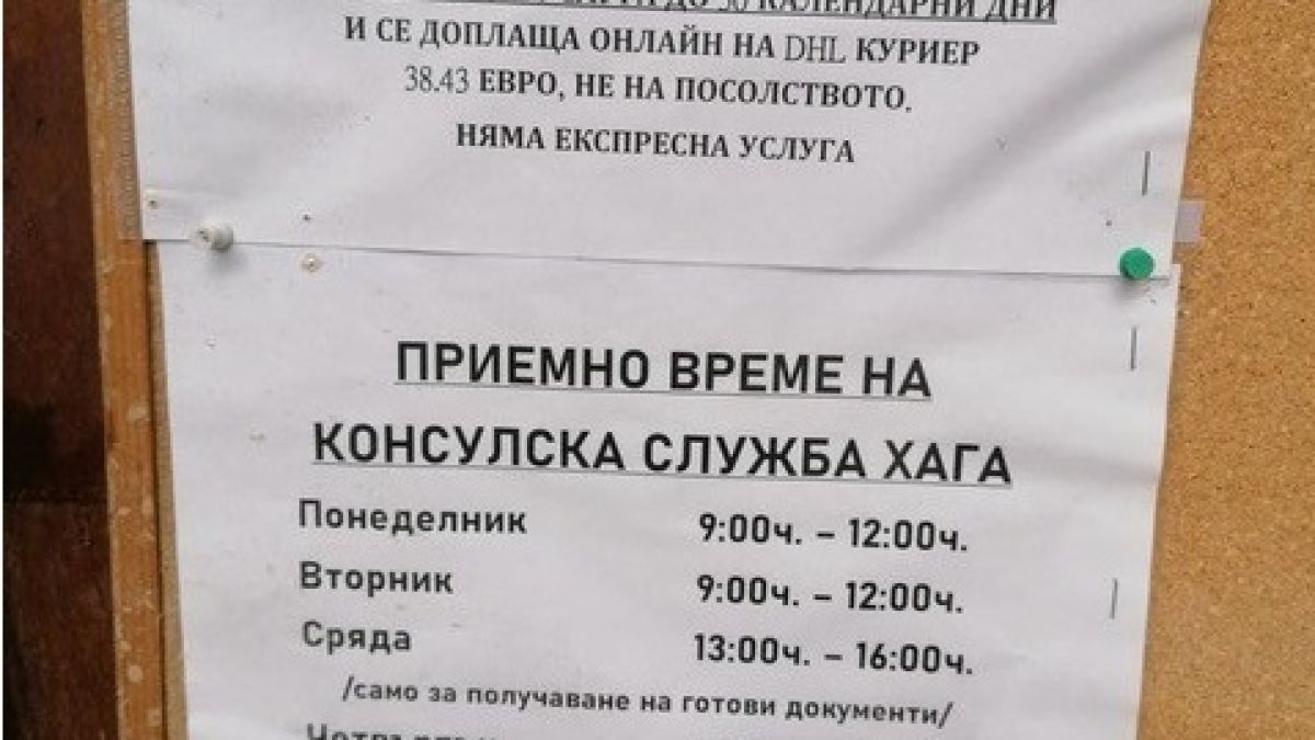 Страшни проблеми налегнаха българите в Нидерландия, след като не могат да... 
