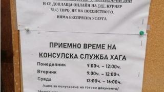 Страшни проблеми налегнаха българите в Нидерландия, след като не могат да... 