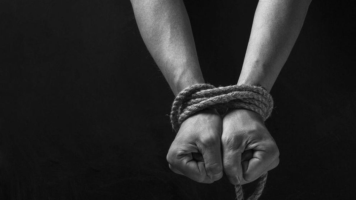 Френски журналист твърди, че е отвлечен от джихадисти в Мали ВИДЕО