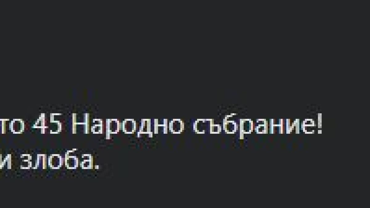 Мрежата кипна заради описание на „мъртвото“ 45-то НС, което Петьо П. Блъсков поде