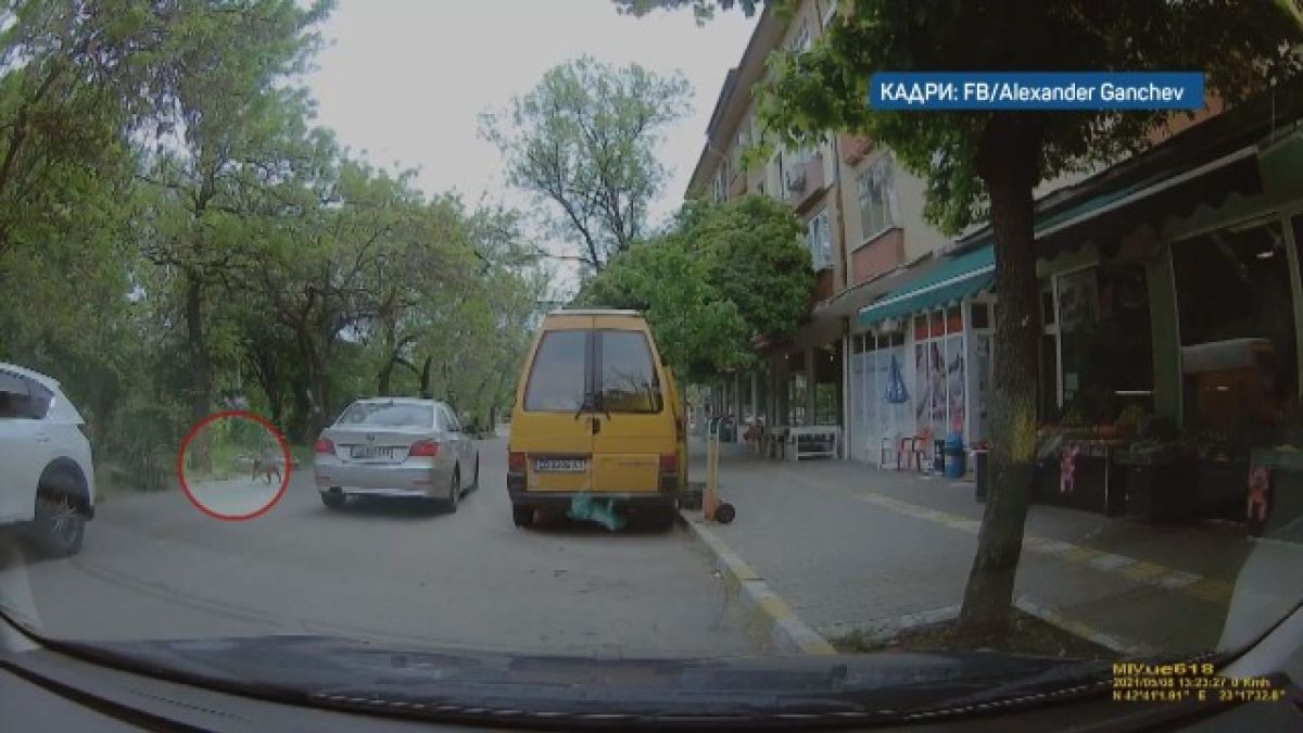 Тъжна и шокираща гледка след бял джип насред София СНИМКИ