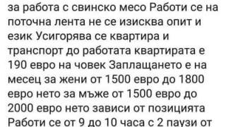 Гурбетчия алармира за нагла измама с добре платена работа в Германия 