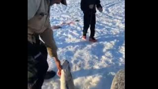 Шестгодишно момче отиде за първи път на риболов и улови риба със своите размери ВИДЕО