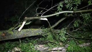 Страховита буря удари Русе ВИДЕО