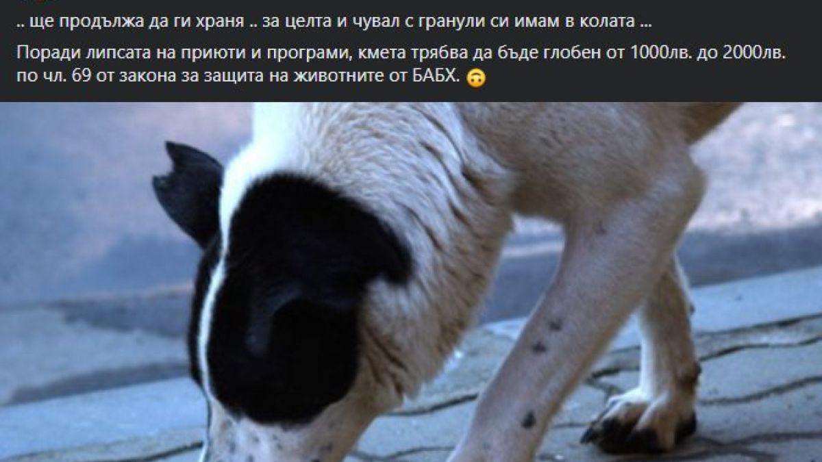 Пиарката на Слави избесня и се закани на кмет