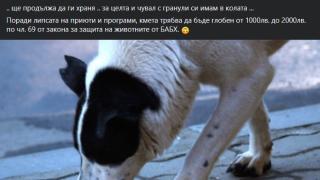 Пиарката на Слави избесня и се закани на кмет