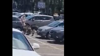 Глигани обградиха жена край супермаркет, а последвалото е шокиращо ВИДЕО